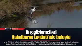 Kuş gözlemcileri Çakalburnu Lagünü’nde buluştu