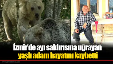 İzmir’de ayı saldırısına uğrayan yaşlı adam hayatını kaybetti
