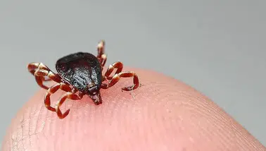 KKKA şüphesiyle tedavi gören kişi hayatını kaybetti