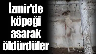 İzmir'de köpeği asarak öldürdüler