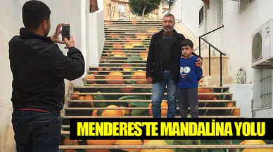 Menderes'te Mandalina yolu