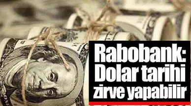 Rabobank: Dolar tarihi zirve yapabilir
