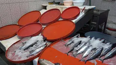 Balıkçılar 1 Eylül'ü bekliyor