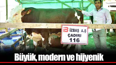 Büyük, modern ve hijyenik