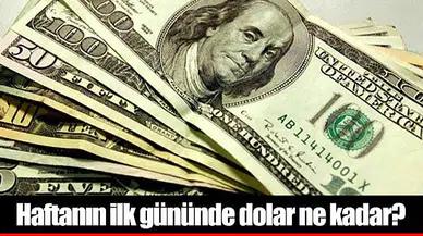 Haftanın ilk gününde dolar ne kadar?