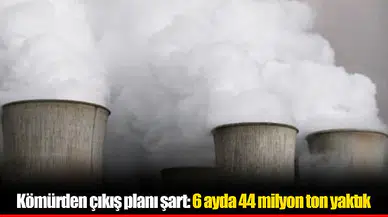 Kömürden çıkış planı şart: 6 ayda 44 milyon ton yaktık