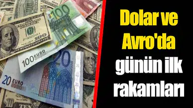 Dolar ve Avro'da günün ilk rakamları