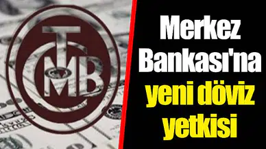 Merkez Bankası'na yeni döviz yetkisi