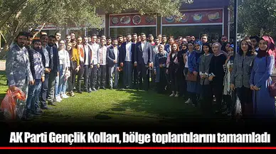 AK Parti Gençlik Kolları, bölge toplantılarını tamamladı