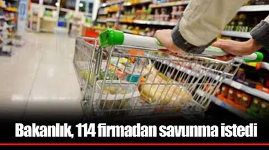 Bakanlık, 114 firmadan savunma istedi