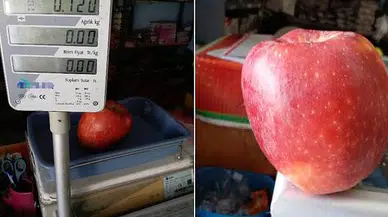 Bir elma tam 720 gram geldi