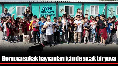 Bornova sokak hayvanları için de sıcak bir yuva