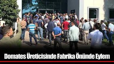 Domates Üreticisinde Fabrika Önünde Eylem
