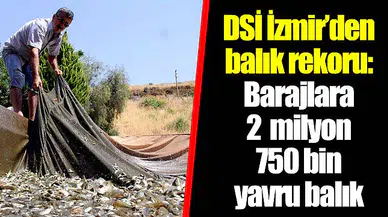 DSİ İzmir’den balık rekoru: Barajlara 2  milyon 750 bin yavru balık 