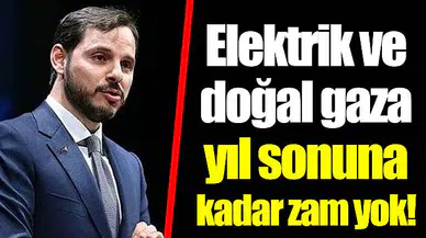 Elektrik ve doğal gaza yıl sonuna kadar zam yok!