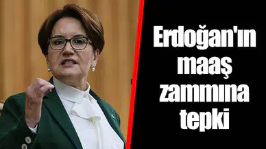 Erdoğan'ın maaş zammına tepki