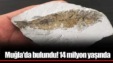 Muğla'da bulundu! 14 milyon yaşında