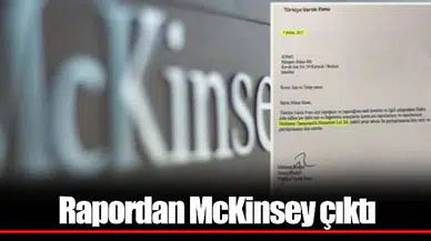 Rapordan McKinsey çıktı