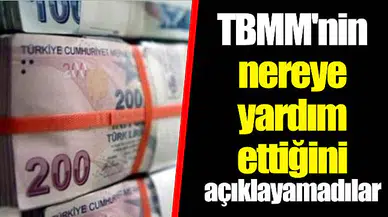 TBMM'nin nereye yardım ettiğini açıklayamadılar