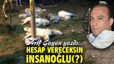 Hesap Vereceksin İnsanoğlu(?)