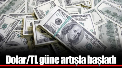 Dolar/TL güne artışla başladı