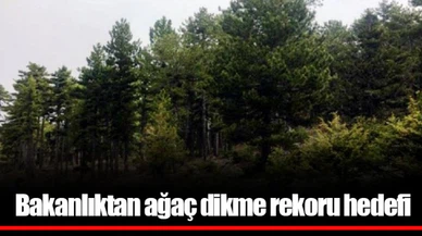 Bakanlıktan ağaç dikme rekoru hedefi