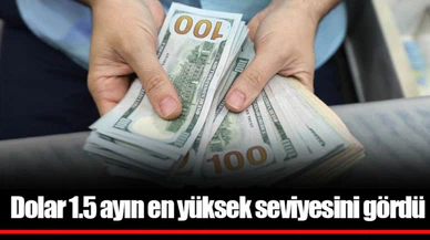 Dolar 1.5 ayın en yüksek seviyesini gördü