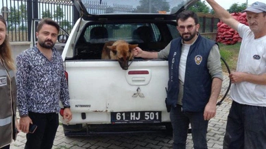 Bekçiler ile gençler birbirine girdi, olan köpeğe oldu! 2 gün gözaltında kaldı
