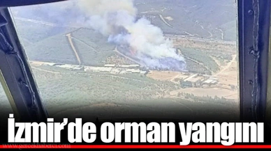 İzmir'de orman yangını