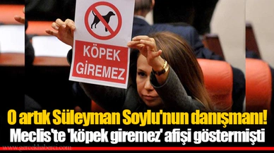 O artık Süleyman Soylu'nun danışmanı! Meclis'te 'köpek giremez' afişi göstermişti