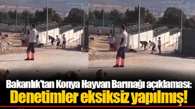 Bakanlık'tan Konya Hayvan Barınağı açıklaması: Denetimler eksiksiz yapılmış!