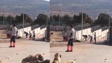 Barınak görüntüleri infial oluşturmuştu...Şube müdürü açığa alındı, 2 gözaltı