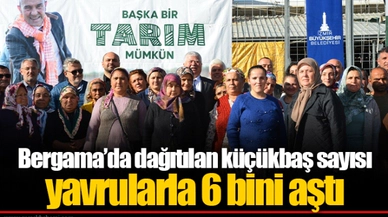 Bergama’da dağıtılan küçükbaş sayısı yavrularla 6 bini aştı