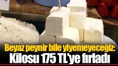 Beyaz peynir bile yiyemeyeceğiz: Kilosu 175 TL'ye fırladı