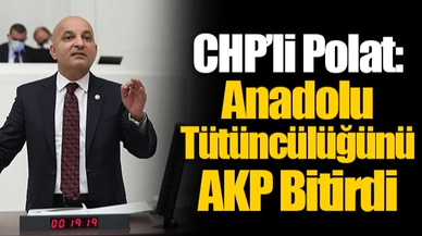 CHP’li Polat: Anadolu Tütüncülüğünü AKP Bitirdi