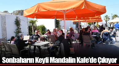 Sonbaharın Keyfi Mandalin Kafe’de Çıkıyor
