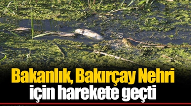 Bakanlık, Bakırçay Nehri için harekete geçti