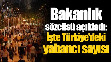 Bakanlık sözcüsü açıkladı: İşte Türkiye'deki yabancı sayısı