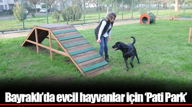 Bayraklı’da evcil hayvanlar için ‘Pati Park’
