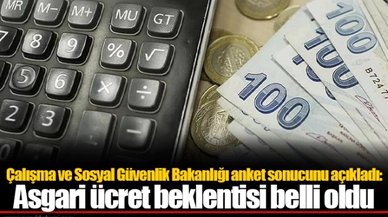 Çalışma ve Sosyal Güvenlik Bakanlığı anket sonucunu açıkladı: Asgari ücret beklentisi belli oldu