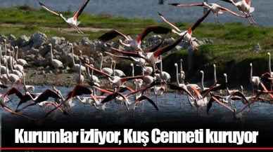 Kurumlar izliyor, Kuş Cenneti kuruyor