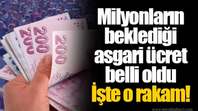 Milyonların beklediği asgari ücret belli oldu  İşte o rakam!