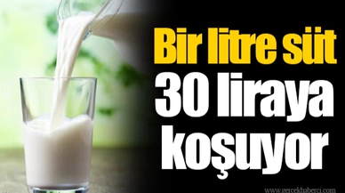 Bir litre süt 30 liraya koşuyor