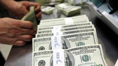 Merkez Bankası'nın brüt rezervleri, 128,8 milyar dolar