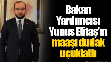 Bakan Yardımcısı Yunus Elitaş’ın maaşı dudak uçuklattı