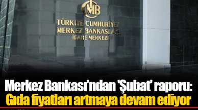 Merkez Bankası'ndan 'Şubat' raporu: Gıda fiyatları artmaya devam ediyor