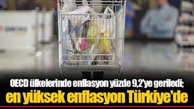 OECD ülkelerinde enflasyon yüzde 9,2'ye geriledi; en yüksek enflasyon Türkiye'de
