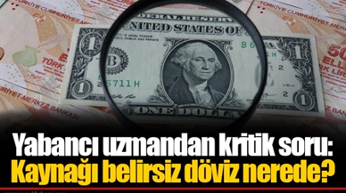 Yabancı uzmandan kritik soru: Kaynağı belirsiz döviz nerede?