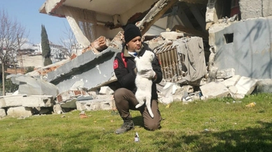 Depremzede kediler yeni evlerine kavuştu
