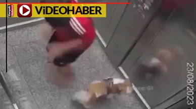 11 yaşındaki kahraman, köpeğini böyle kurtardı